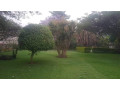 3-acres-of-land-for-sale-in-kafue-small-0