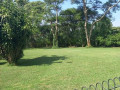 5-acres-land-for-sale-in-eureka-park-small-5