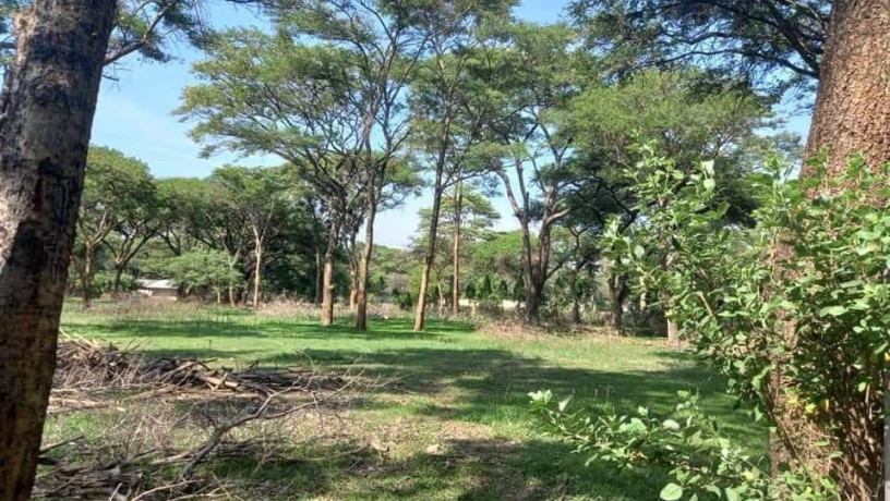 5-acres-land-for-sale-in-eureka-park-big-9