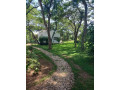 5-acres-land-for-sale-in-eureka-park-small-3