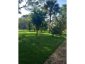 5-acres-land-for-sale-in-eureka-park-small-8