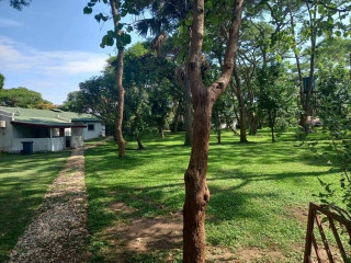 5-acres-land-for-sale-in-eureka-park
