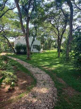 5-acres-land-for-sale-in-eureka-park-big-3