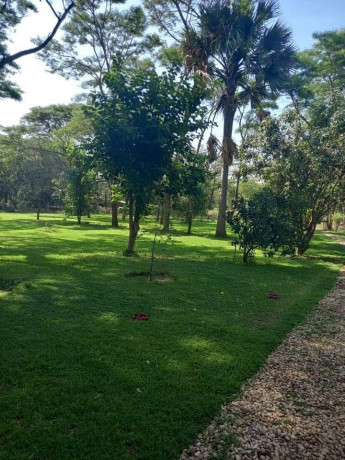 5-acres-land-for-sale-in-eureka-park-big-8