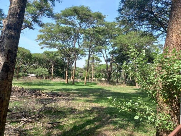 5-acres-land-for-sale-in-eureka-park-big-9