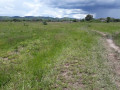 25-hectares-farm-for-sale-in-mikango-barracks-small-6