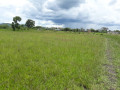 25-hectares-farm-for-sale-in-mikango-barracks-small-3