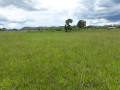 25-hectares-farm-for-sale-in-mikango-barracks-small-2