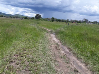 2.5 Hectares Farm For Sale in Mikango Barracks