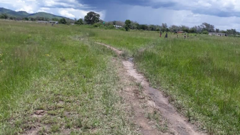 25-hectares-farm-for-sale-in-mikango-barracks-big-0