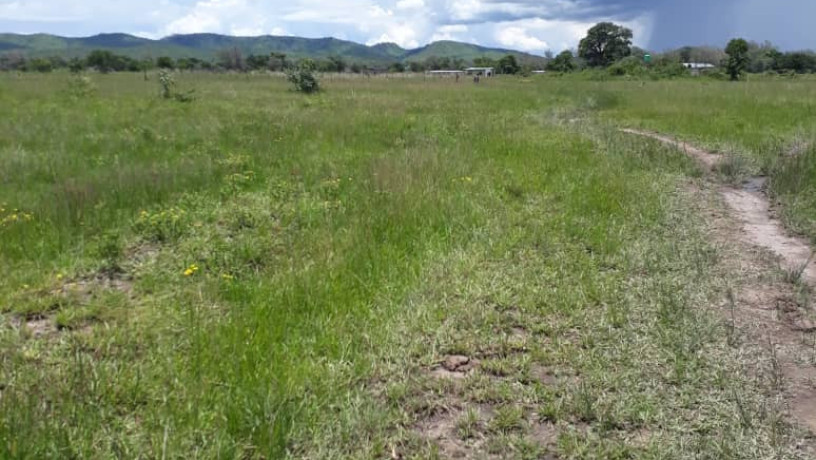 25-hectares-farm-for-sale-in-mikango-barracks-big-6