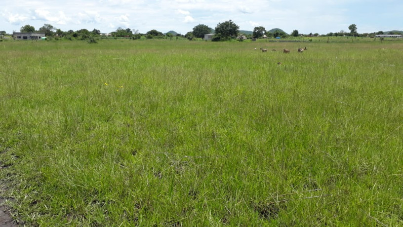 25-hectares-farm-for-sale-in-mikango-barracks-big-1