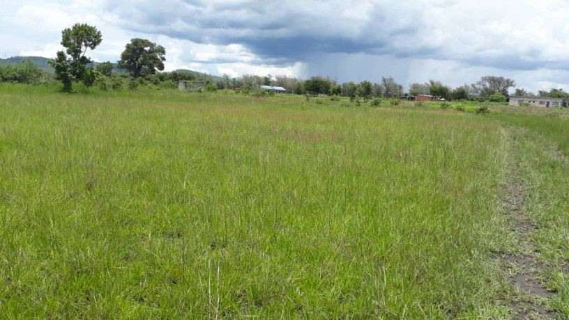 25-hectares-farm-for-sale-in-mikango-barracks-big-3