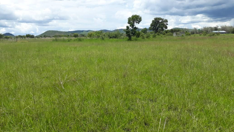 25-hectares-farm-for-sale-in-mikango-barracks-big-2