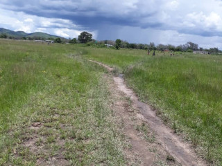 25-hectares-farm-for-sale-in-mikango-barracks