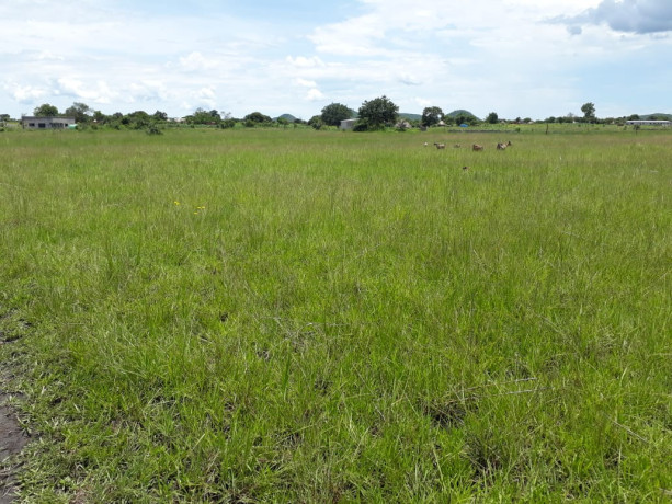 25-hectares-farm-for-sale-in-mikango-barracks-big-1