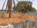 30m-by-30m-plot-for-sale-in-chalala-small-1