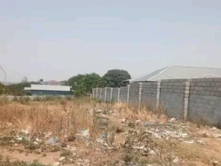 30m by 30m Plot For Sale In Chalala