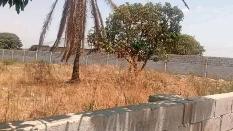 30m-by-30m-plot-for-sale-in-chalala-big-1