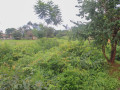 60-x-30-plot-for-sale-in-chelstone-small-3