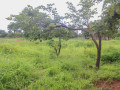 60-x-30-plot-for-sale-in-chelstone-small-2