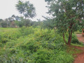 60-x-30-plot-for-sale-in-chelstone-small-5