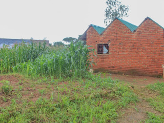 60 x 30 Plot For Sale in Chelstone