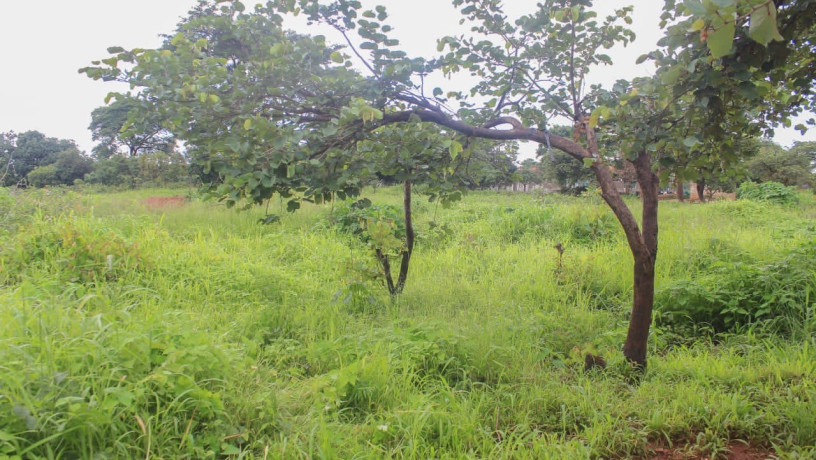 60-x-30-plot-for-sale-in-chelstone-big-2