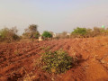 plot-for-sale-in-lilayi-small-0