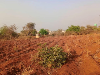 Plot for Sale in Lilayi