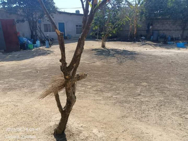 2-and-1-bedroom-flats-for-sale-in-chalala-big-1