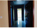 2-bedroom-house-for-rent-in-avondale-small-4