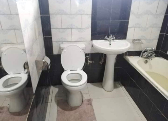 spacious-3-bedroom-house-for-sale-in-avondale-big-6