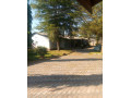 2-bedroom-flat-for-rent-in-avondale-small-3