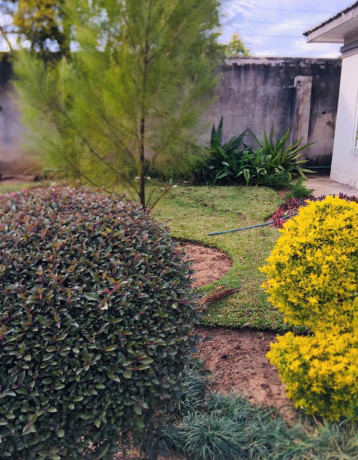 3-bedroom-house-for-rent-in-avondale-big-5