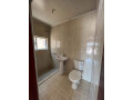 2-bedroom-flat-for-rent-in-olympia-small-5