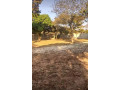3-bedroom-house-for-rent-in-chudleigh-small-4