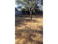 plot-for-sale-in-chudleigh-small-0
