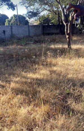 plot-for-sale-in-chudleigh-big-2