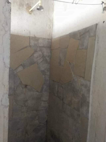 1-bedroom-flat-for-rent-in-nyumba-yanga-big-5