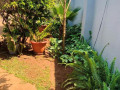 3-bedroom-house-for-rent-in-nyumba-yanga-small-4