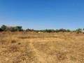 56-acre-plot-for-sale-in-kasupe-small-3