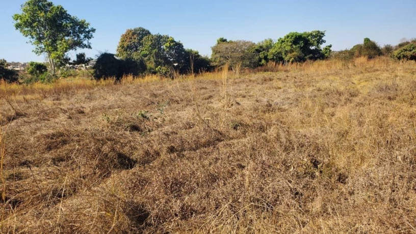 56-acre-plot-for-sale-in-kasupe-big-0