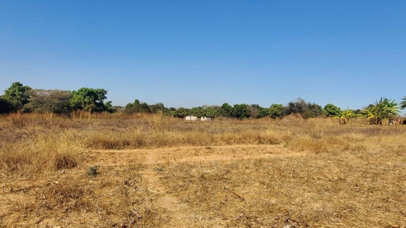 56-acre-plot-for-sale-in-kasupe-big-3