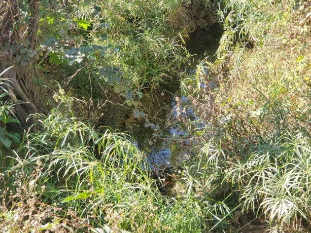56-acre-plot-for-sale-in-kasupe-big-2