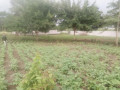 40m-by-37m-plot-for-sale-in-chilanga-small-0