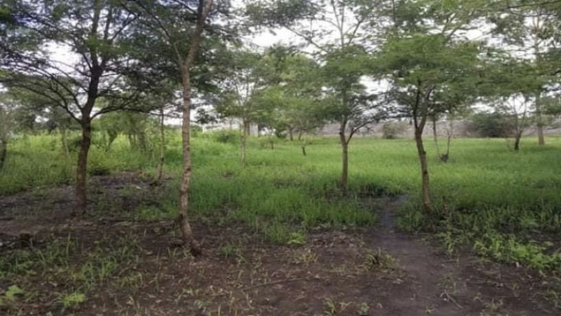 40m-by-37m-plot-for-sale-in-chilanga-big-1