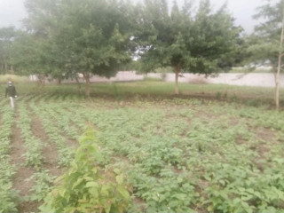 40m-by-37m-plot-for-sale-in-chilanga