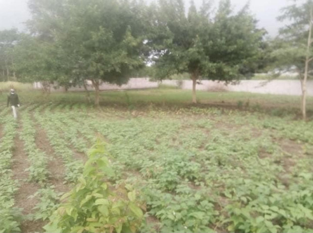 40m-by-37m-plot-for-sale-in-chilanga-big-0