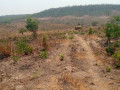 50m-by-50m-plot-for-sale-in-chilanga-small-1